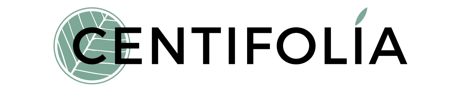 Centifolia
