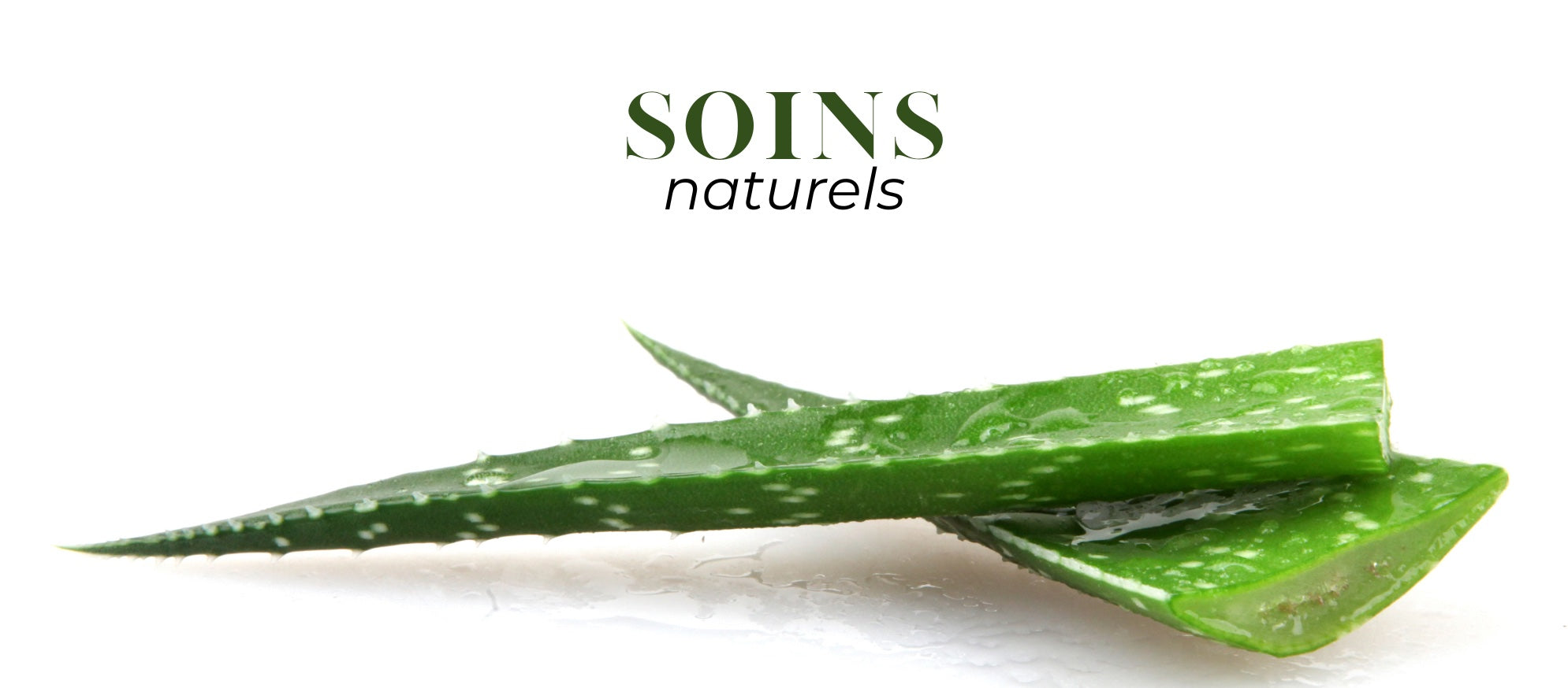 aloe vera en gel bienfait