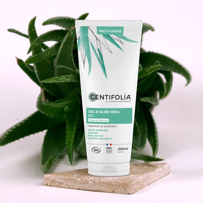 Aloe Vera Cuir Chevelu Irrité : Apaiser et Hydrater Naturellement les Cheveux Bouclés - L'art des boucles